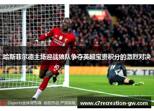 哈斯菲尔德主场迎战狼队争夺英超宝贵积分的激烈对决
